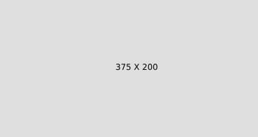 Store Banner